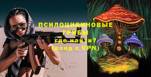 дурь Лагань
