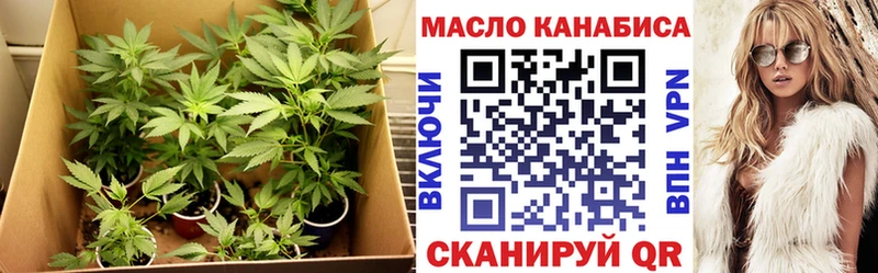 Дистиллят ТГК THC oil  Шумиха 