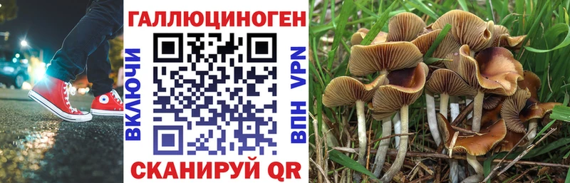 Галлюциногенные грибы Magic Shrooms  закладка  Шумиха 