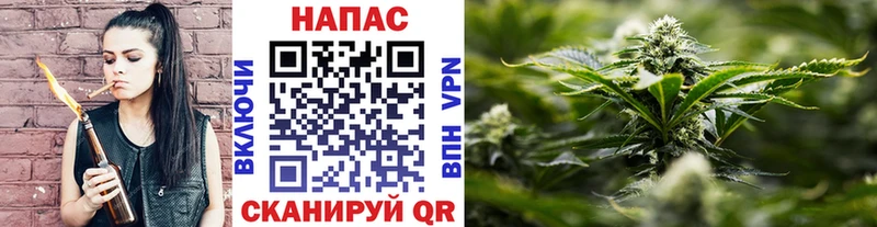 Канабис MAZAR Шумиха